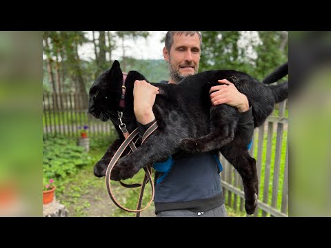 Видео: Луна, Венза и Вован идут к успеху 😎😎😎