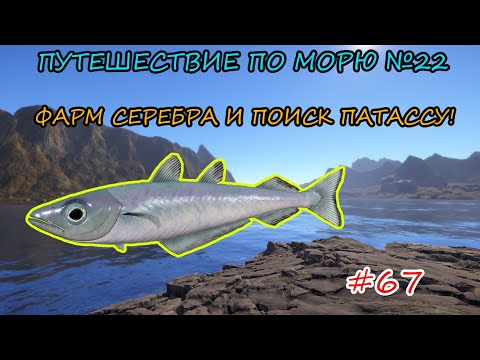 Видео: ПУТЕШЕСТВИЕ ПО МОРЮ #22 - ФАРМ СЕРЕБРА И ПОИСК ПАТАССУ СЕВЕРНОЙ + РОЗЫГРЫШИ НА TROVO!