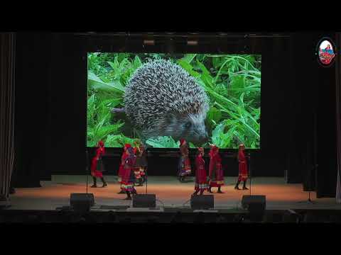 Видео: 6. «Встреча гостей» – Заслуженный коллектив «Зардон»