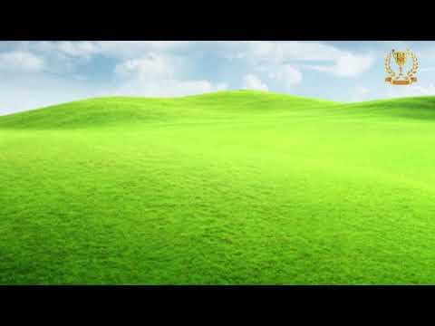 Видео: Медитация обновления и поддержки  «Весеннее настроение»