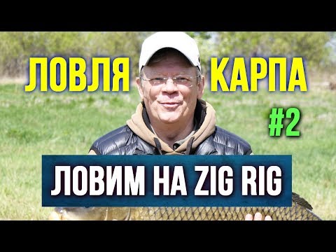 Видео: Ловля карпа на ZIG RIG Вторая серия https://youtu.be/a8yVCx1LS-E