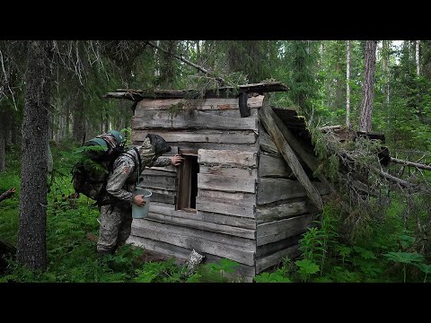 Видео: ОСТОРОЖНО КОМАРЫ! ВЫЖИМАНИЕ 24 ЧАСА. БРОШЕННАЯ ИЗБА. ВМЕСТО КАРАСЯ ПОЙМАЛ КРУПНЯКА. РЫБАЛКА!