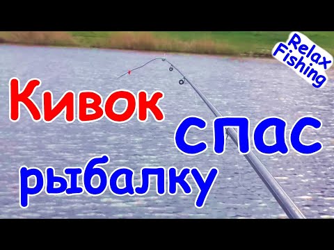 Видео: 🎣 БОКОВОЙ КИВОК - сделал за 5 минут НА КОЛЕНКЕ, а он спас рыбалку! Карась и окунь на летнюю мормышку
