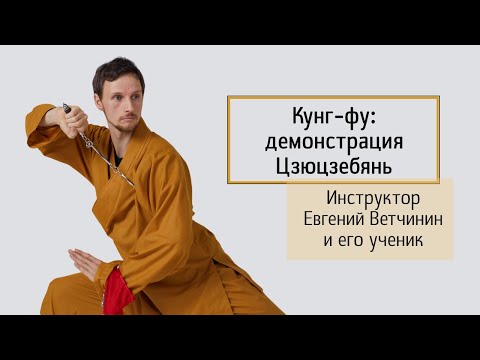 Видео: Инструктор Евгений Ветчинин и его ученик - демонстрация цепи в Шаолине