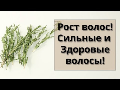 Видео: Розмарин для роста волос! Уход за волосами!