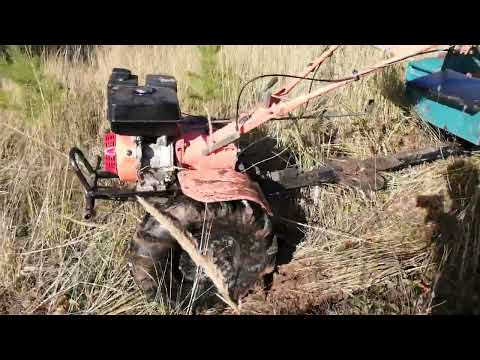 Видео: Мотоблок грязи не боится Съездил за грибами на мотоблоке набрал много грибов