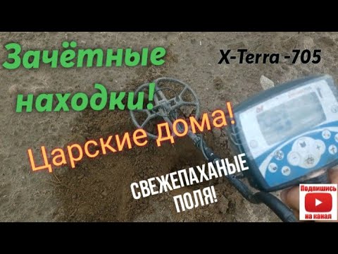 Видео: Поиск с  X-TERRA 705• Свежепаханные поля•Поиск монет и кладов на Царских хуторах •Зачетный выход