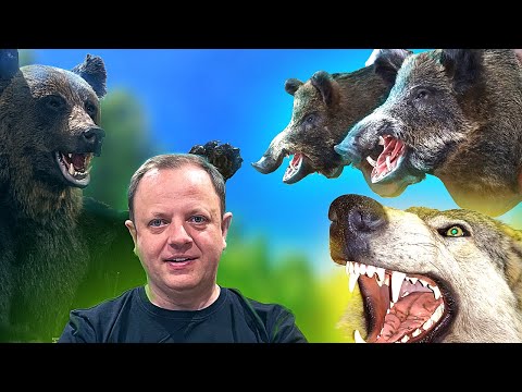 Видео: ТЫСЯЧА ТРОФЕЕВ УСПЕШНОГО МАСТЕРА! ВТОРАЯ ЖИЗНЬ МЕДВЕЙ, КАБАНОВ и ЛОСЕЙ.