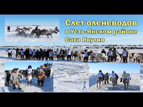 Видео: Слет оленеводов 2023. Якутия. Арктика