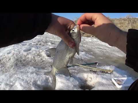 Видео: Лепсы Рыбалка Закрытие сезона !!!