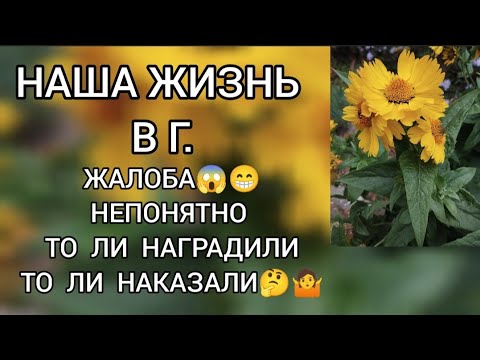 Видео: Обзор‼️ Наша жизнь в Германии  Жалоба‼️ Непонятно то ли наградили то ли наказали⁉️