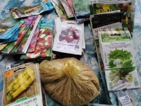 Видео: ОГЛЯД НАСІННЯ ОВОЧІВ,ЗЕЛЕНІ ТА КВІТІВ ДЛЯ ПОСАДКИ НА СЛІДУЮЧИЙ СЕЗОН.ЩО БУДУ САДИТИ !!?