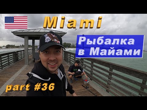 Видео: Рыбалка в Майами. Ловля рыб в Атлантическом океане с пирса. (Part #36)