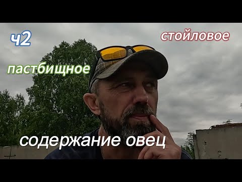 Видео: Пастбищное или стойловое содержание овец 2ч