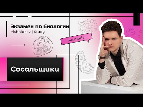 Видео: Экзамен по биологии | СОСАЛЬЩИКИ