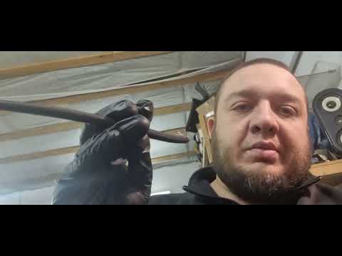 Видео: Снегоход Dingo Т125  не запускается после длительного простоя. (КОНСЕРВАЦИЯ техники?)