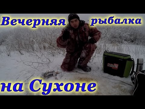 Видео: Отличная вечерняя рыбалочка на реке Сухона...