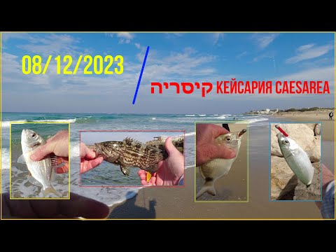 Видео: 4K 08/12/2023 Caesarea Кейсария קיסריה דיג рыбалка fishing