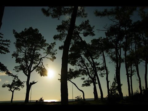 Видео: Отдых в Кобулети 15 - 27.09.25 #georgia #kobuleti #adjara #blacksea