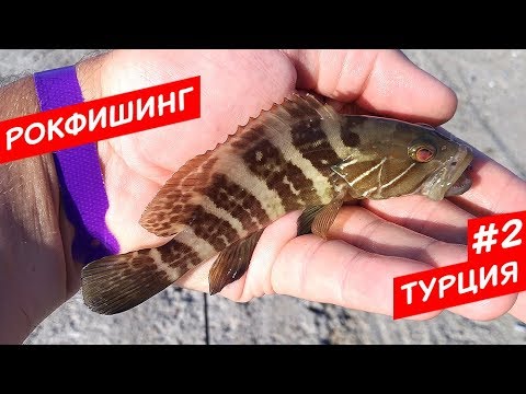 Видео: Маленький Группер?! Рокфишинг! Турция #2