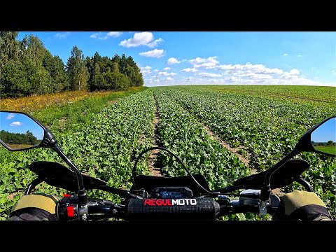 Видео: ⭕POV REGULMOTO CRX PRO 2025 ⭐В ПОИСКАХ ТОГО ЧЕГО УЖЕ НЕТ НА КАРТАХ ☀ #40✅