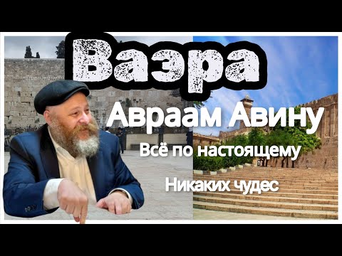 Видео: Вайера (1) 5786