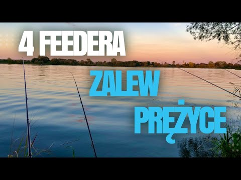 Видео: 4 ФИДЕРA НА ЗАЛИВЕ ОДРЫ. БУДЕТ УХА? PZW ZALEW PRĘŻYCE.