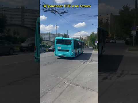 Видео: Автобус ЛиАЗ-5292.65 по 397 маршруту #спб #топ #лето #круто @SanktPetersburg22