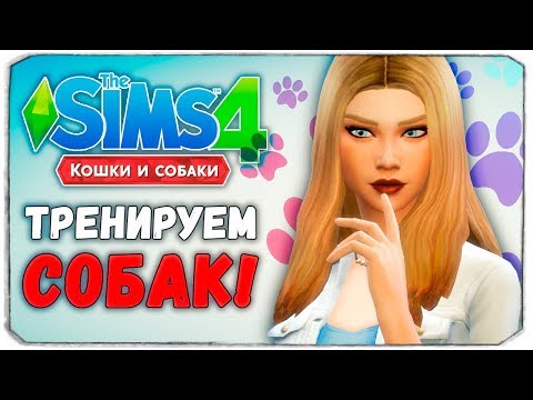 Видео: 100 ПИТОМЦЕВ - ТРЕНИРУЕМ СОБАК - The Sims 4 "Кошки и Собаки" ЧЕЛЛЕНДЖ