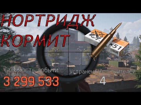 Видео: ОХОТА НА КРАСНОМ СОЛО НОРТРИДЖ! Arena Breakout Infinite | #arenabreakoutinfinite #arenainfinite