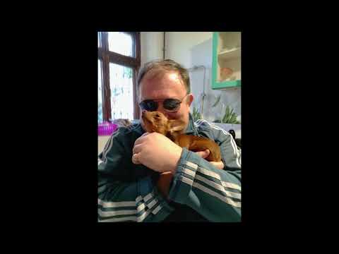 Видео: Дима Леонтьев - Романс за Изю.