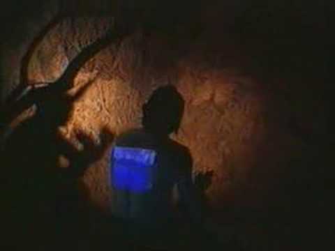 Видео: Аквариум - Скорбец