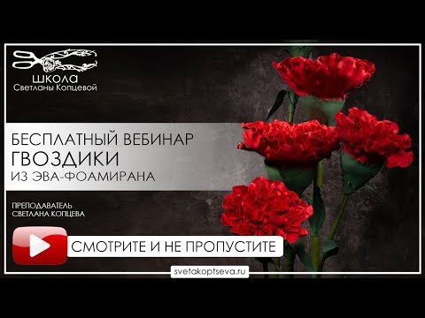 Видео: БЕСПЛАТНЫЙ ВЕБИНАР " ГВОЗДИКИ ЭВА Фоамиран " #9мая Получить шаблоны 👇🏻👇🏻👇🏻