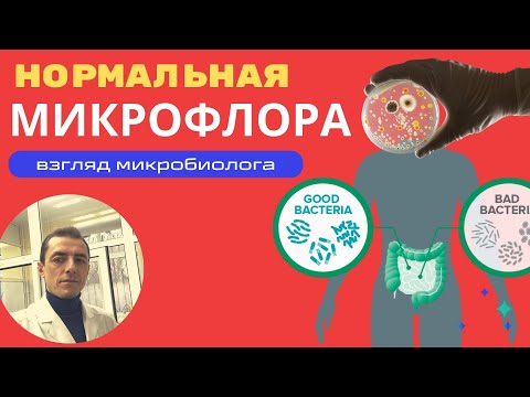 Видео: Нормальная микрофлора кишечника- бифидобактерии, лактобактерии. Посев на микрофлору ("дисбактериоз")