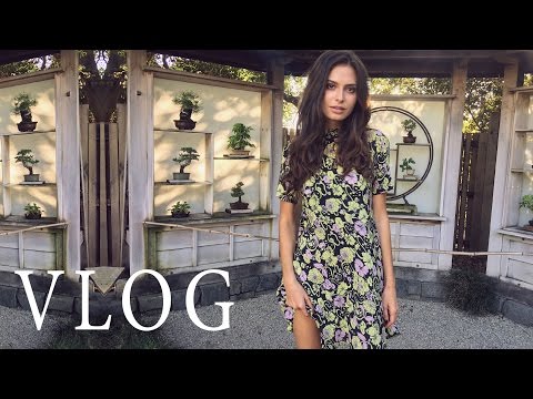 Видео: VLOG: В райском саду | Ночные приключения | Проблемы с котом