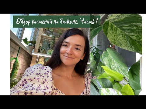 Видео: Обзор растений на моем балконе. Часть 1