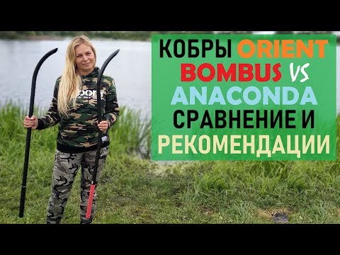 Видео: Обзор кобр ORIENT. Наши рекомендации и опыт использования.