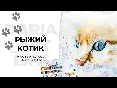 Видео: Акварельный котик в 3/4: пропорции головы, живые глаза, мягкая шерсть.