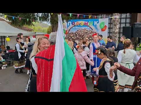 Видео: Специално за празника на Негушево 