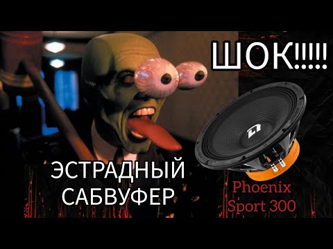 Видео: Эстрадный сабвуфер Dl Audio Phoenix Sport 300