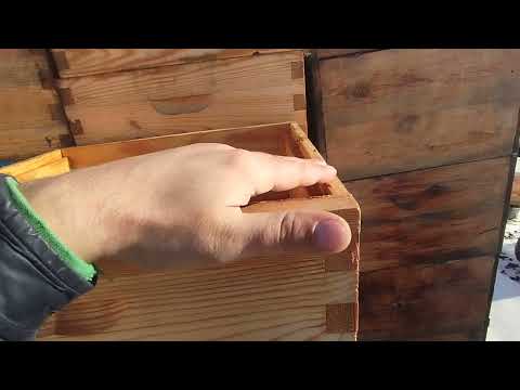 Видео: безфальцева система вуликів, переваги та недоліки.