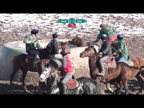Видео: Көк бөрү / Жайыл - Манас