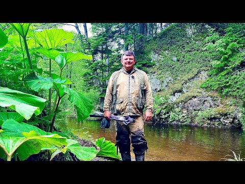 Видео: Сахалин! За этой рыбой прошли через джунгли.