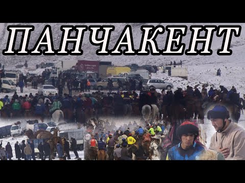Видео: Бузкаши дар зери барфи сафед. ПАНЧАКЕНТ 03 03 2024