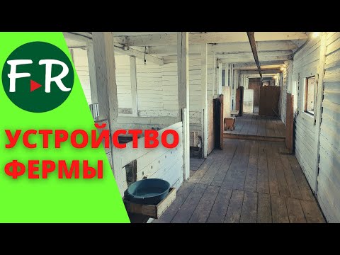 Видео: Устройство козьей фермы. Содержание козлят разного возраста. Ферма Надежда