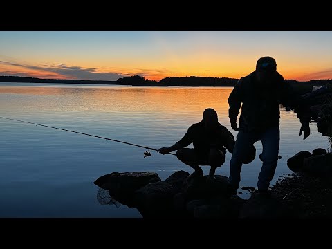 Видео: Новый СЕРВИС - НОВЫЕ ПРОБЛЕМЫ! Забрал МЕРС с МАЛЯРКИ / Сборка НОВОГО мотора СУБАРУ