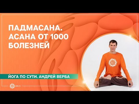 Видео: Падмасана. Асана от 1000 болезней. Андрей Верба