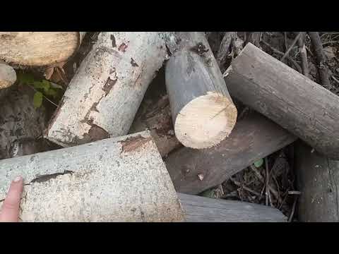 Видео: Заготовка дров / перевозка дров  на лодке Сибирячка