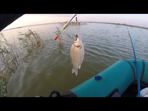 Видео: озеро УЕЛГИ.САМЫЙ ВКУСНЫЙ КАРАСЬ ЗДЕСЬ.Рыбалка на поплавок❗