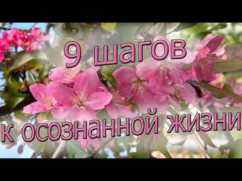 Видео: 9 шагов к осознанной жизни 💭☀️😎